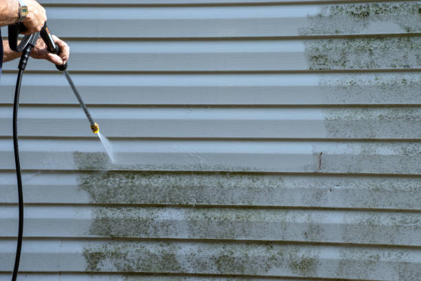 Affordable Siding Repair and Maintenance Services in Franklin Park, PA